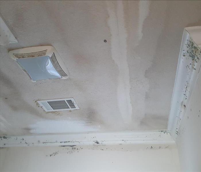 Black Spots on discolored ceiling and crown molding