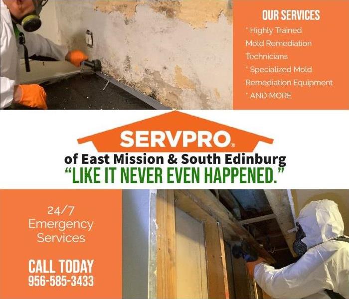 technician working with mitigation remediation mold